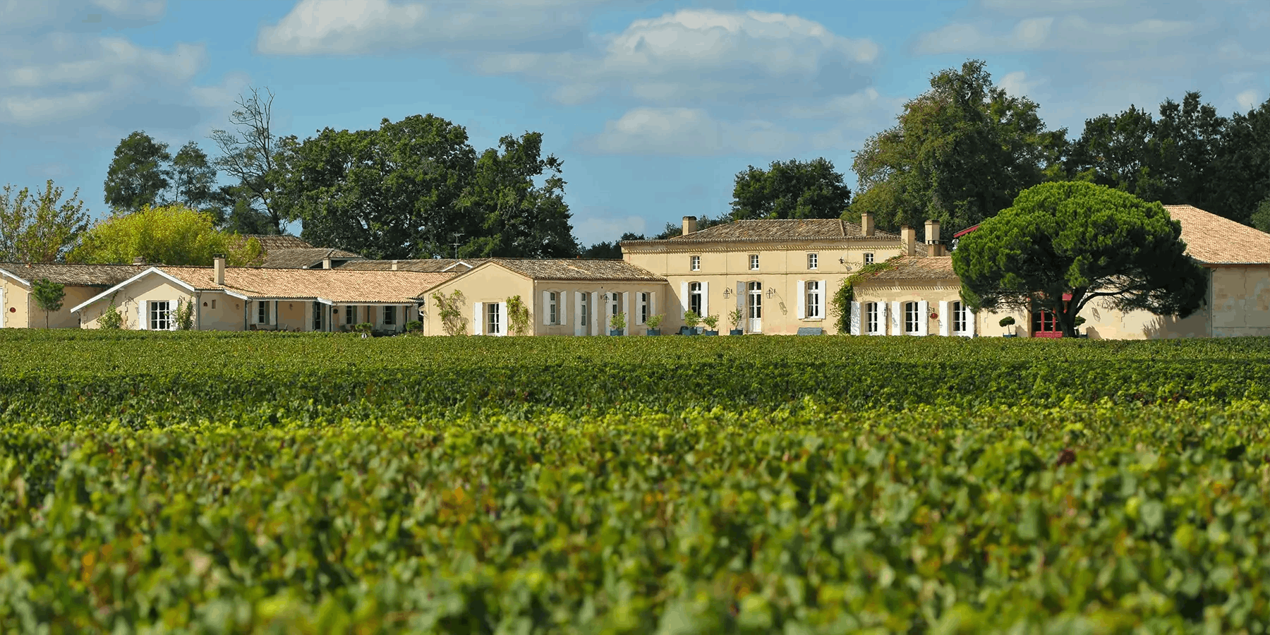 Domaine de Chevalier